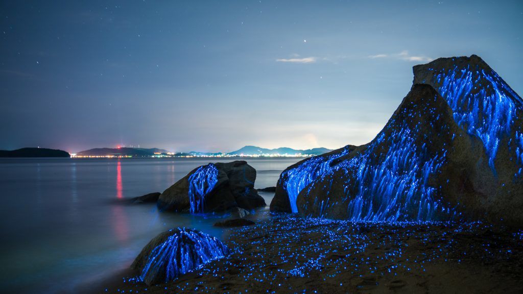 Сині скелі на фото — це не оброблені зображення, а реальне явище в Японії. Думаєте, це зйомки фантастичного фільму чи пришестя інопланетян? А ось і ні!