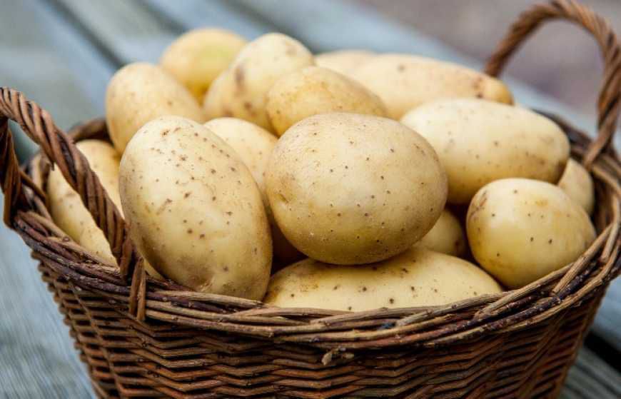 В Україні за тиждень у півтора раза подорожчала картопля. Ціни впадуть, якщо українці припинять скуповувати овоч.