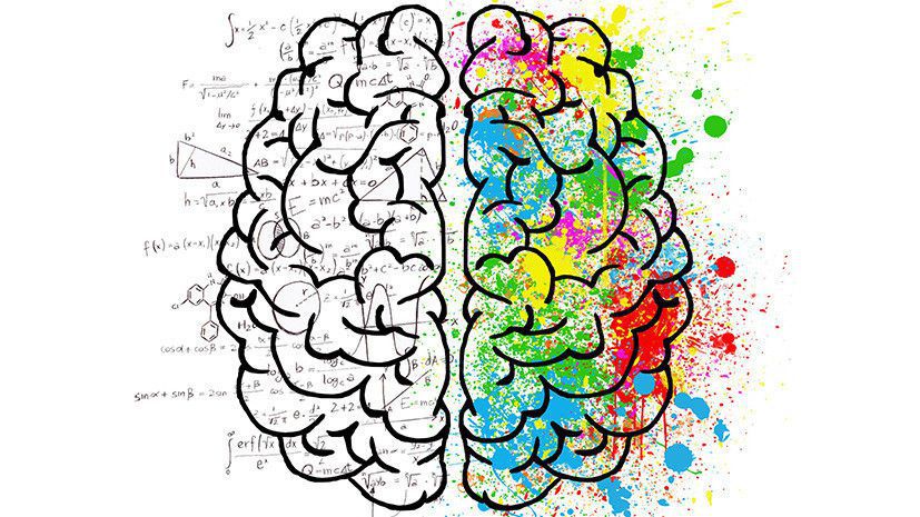 Найпопулярніші міфи про головний мозок, яким не варто вірити. Сьогодні ми спростуємо 5 хибних думок.