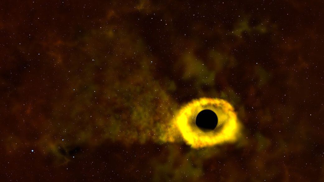Чорна діра розірвала зірку на шматки: відео. Супутник NASA TESS, який займається пошуком нових планет, несподівано показав астрономам чорну діру, що розриває зірку на шматки.