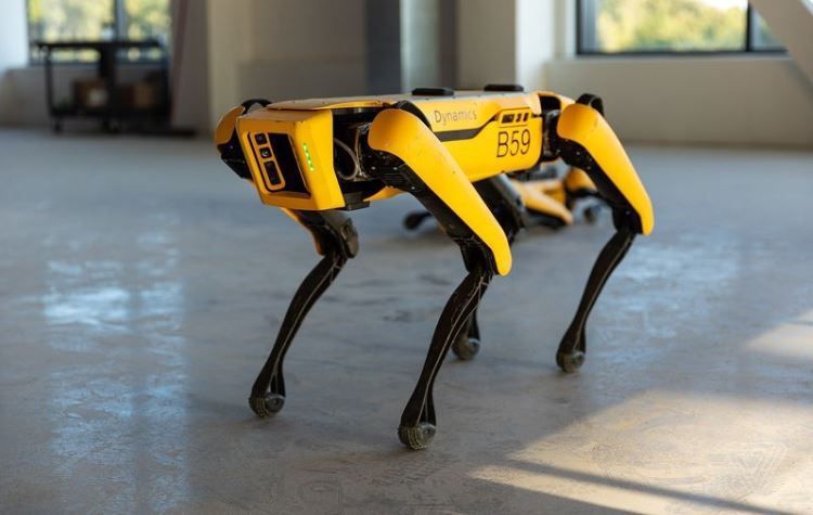Компанія Boston Dynamics, яка створила роботів-собак Spot, оголосила про вихід розробки на ринок. Ціна оренди робопса поки не відома, але, як запевнили представники компанії, це обійдеться дешевше гарного автомобіля.