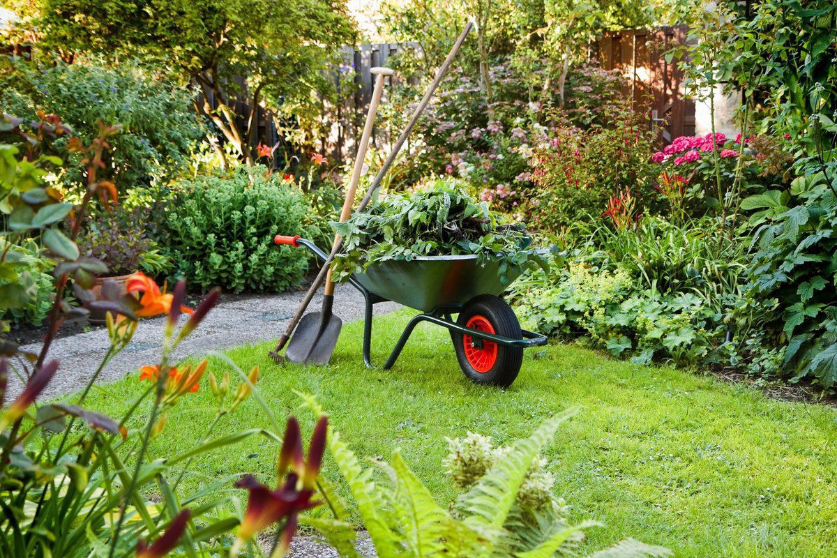 Сезонні роботи на дачі в жовтні: як підготуватися до зими. Потрібно подбати про сад і город: провести підживлення, обрізку, обробляння, утеплення і підживлення.