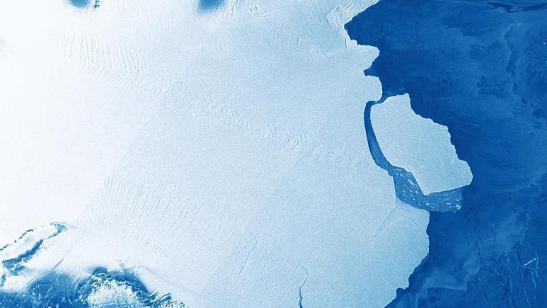 Айсберг вагою в 315 мільярдів тонн відколовся від Антарктиди. Це перша подібна подія за останні 55 років.
