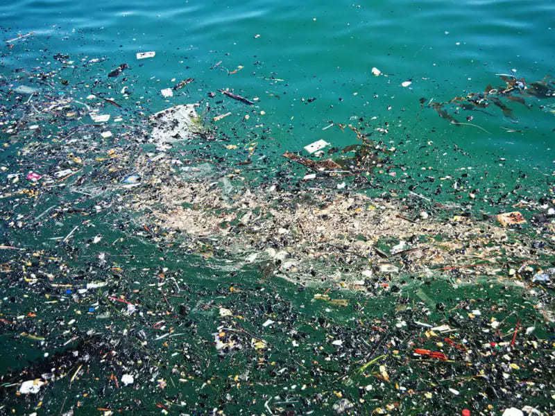 Джерелом забруднення океану пластиковим сміттям є діяльність торговельних суден. Більшість кораблів скидають тонни відходів прямо у воду.