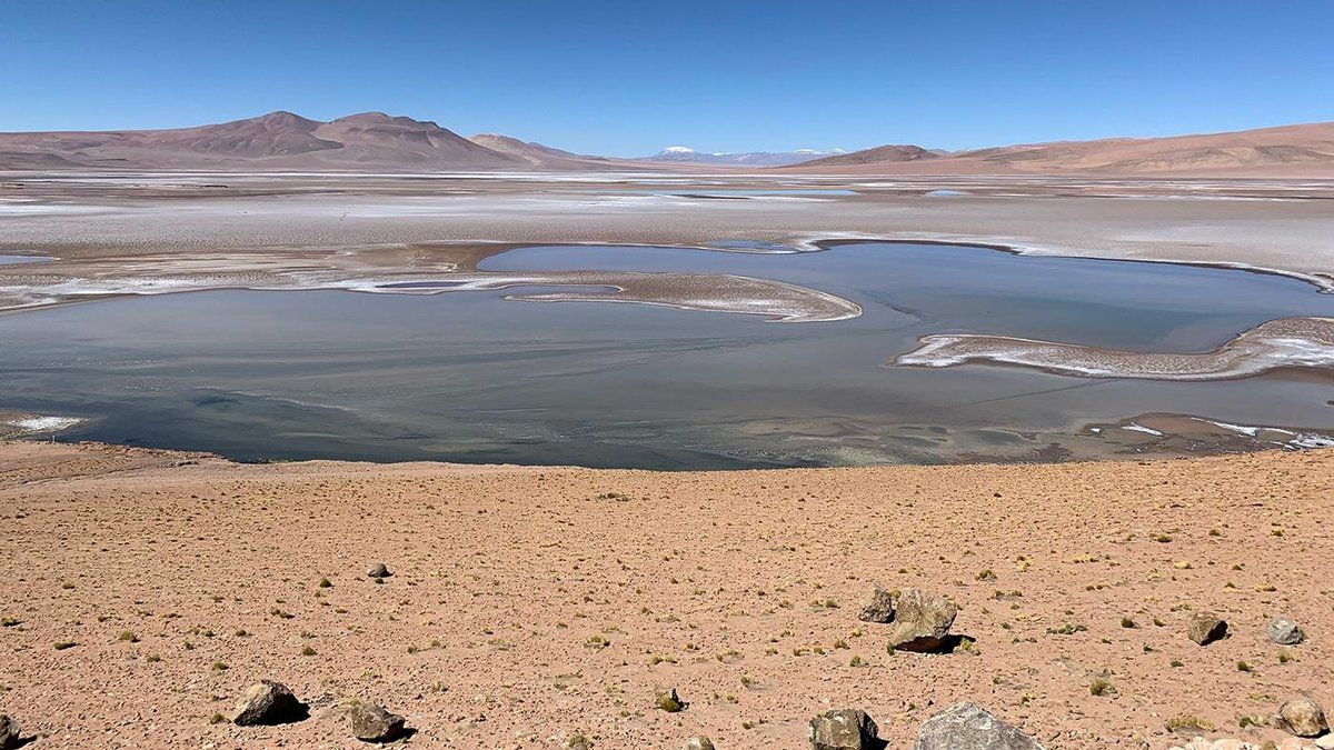 На Марсі виявлені залишки стародавнього солоного озера. Марсохід знайшов родовища, які сильно збагачені сульфатними солями.