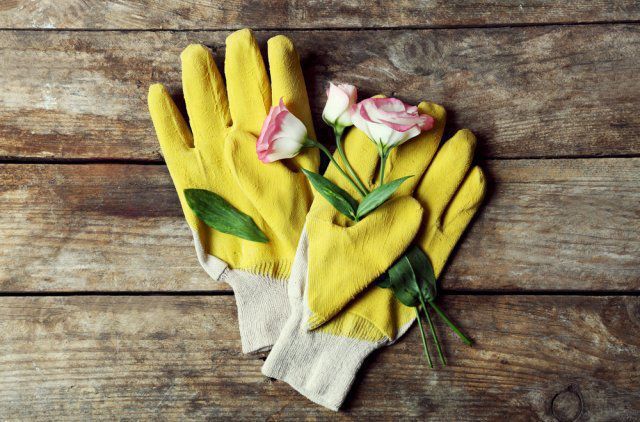 Як правильно обирати рукавички для виконання садових та городніх робіт. Кожен вид рукавичок корисний по-своєму.