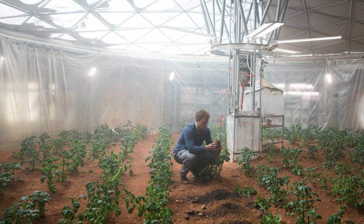 Вченим вдалося виростили культурні рослини на «марсіанському» і «місячному» ґрунті. Отриманий врожай свідчить про можливість ведення сільського господарства на позаземних ґрунтах.