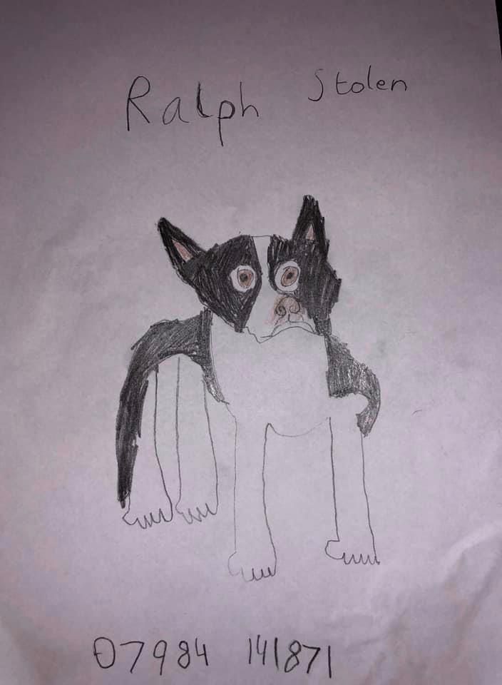 Хлопчик не вмів малювати, але це не стало йому на заваді, щоб малювати плакати для пошуку свого вкраденого собаки. І його зусилля дали результат. За допомогою малюнків хлопчик зміг знайти свого вкраденого собаку.