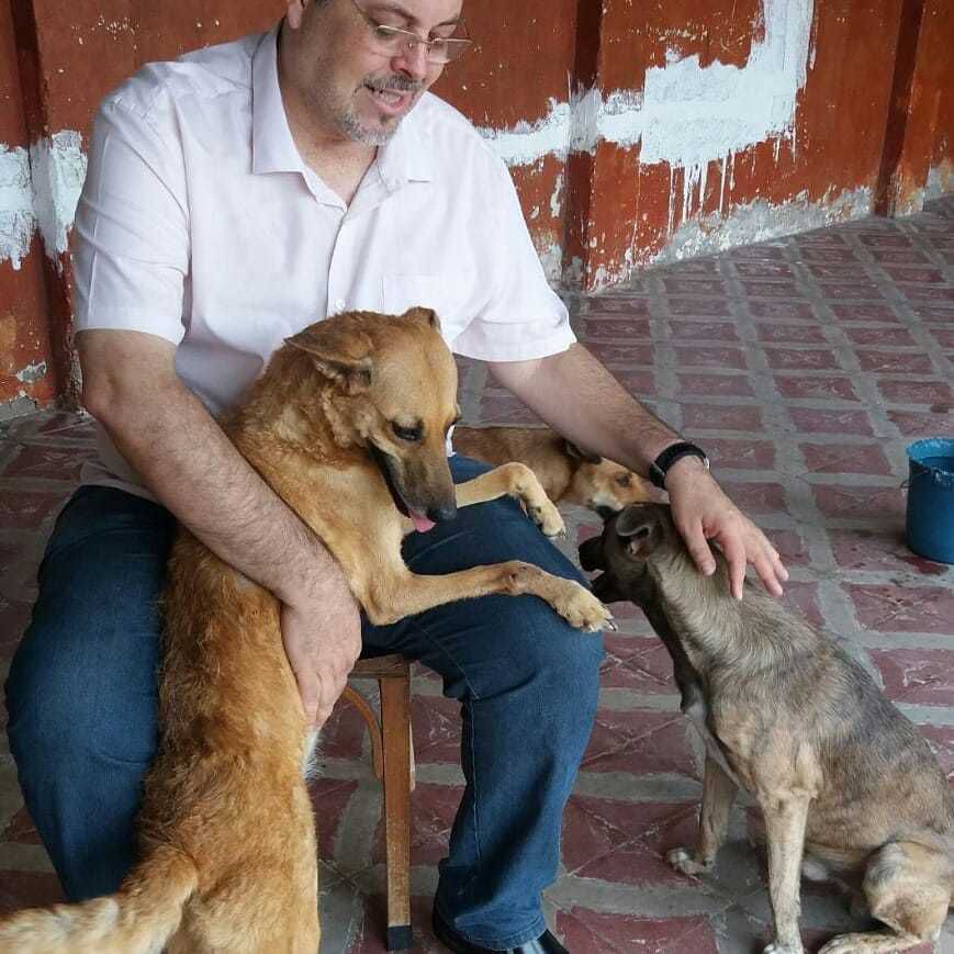 У Бразилії безхатні собаки ходять на церковні служби і знаходять там собі нових господарів. І все завдяки одній добрій людині. Священник дозволяє безхатнім собакам приходити до церкви і знаходити собі господарів.