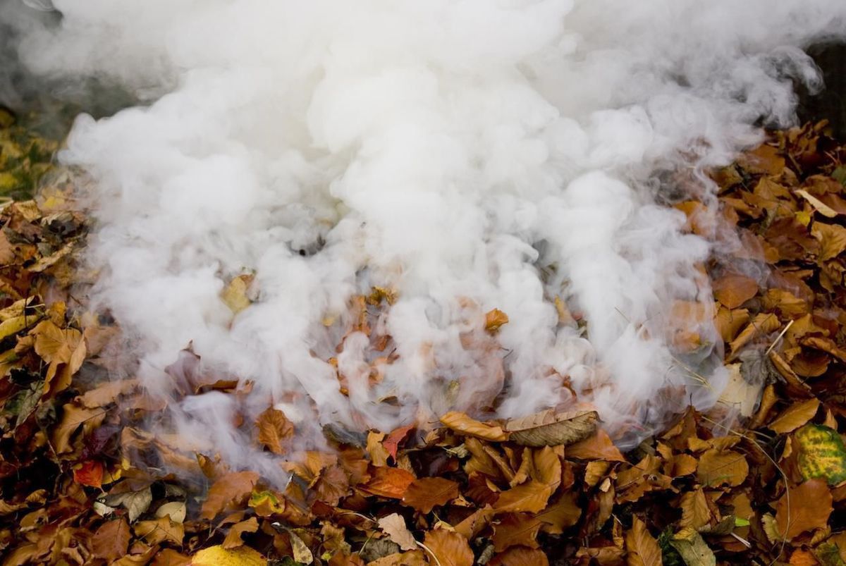 Експерти розповіли про небезпеку диму від спалювання листя, про яку багато хто навіть не здогадується. Дихати димом від сміття в 350 разів небезпечніше, ніж від сигарет.