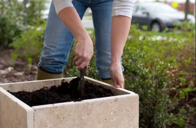 26 ідей для полегшення догляду за садом та створення особливого затишку у ньому. Деякі секрети допоможуть полегшити догляд за садом.