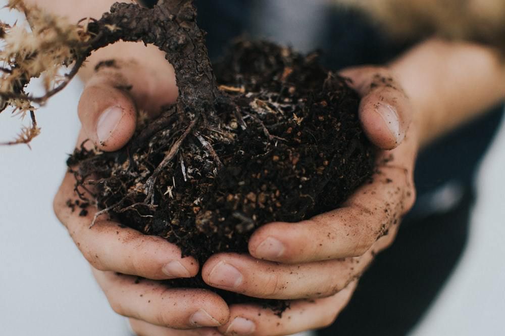 Як поліпшити ґрунт на садовій ділянці. Візьміть навесні в руки жменьку ґрунту і спробуйте розкришити його у своїх пальцях.