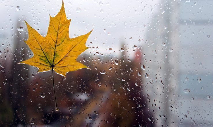 Прогноз погоди на перші дні листопада. На вихідних очікуються дощі.
