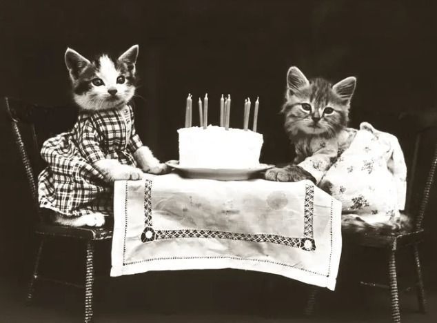 Ретро-інстаграм: навіть 100 років тому люди полюбляли влаштовувати фотосесії для тварин. Смішні фотографії за участю тварин, зняті понад 100 років тому.