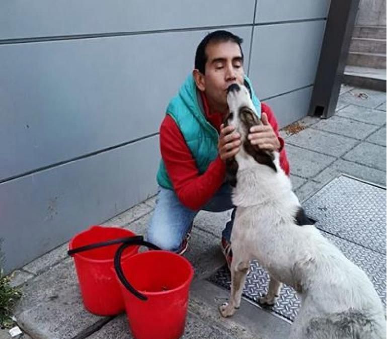 Інженер з Болівії відмовився від успішної кар'єри та присвятив своє життя піклуванню про вуличних собак. Для чоловіка з Болівії турбота про вуличних собак стала більш цінною, ніж успішна кар'єра.
