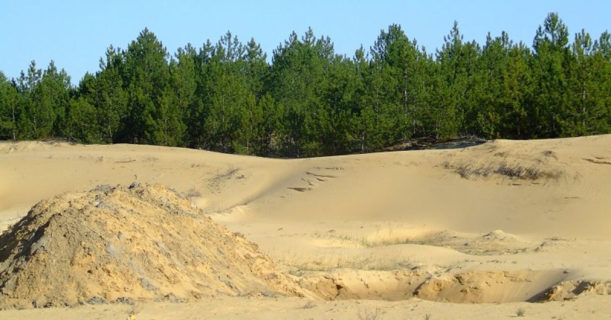 NASA опублікувало знімок незвичайної пустелі в Україні. В Європі майже ніде немає такої кількості піску.