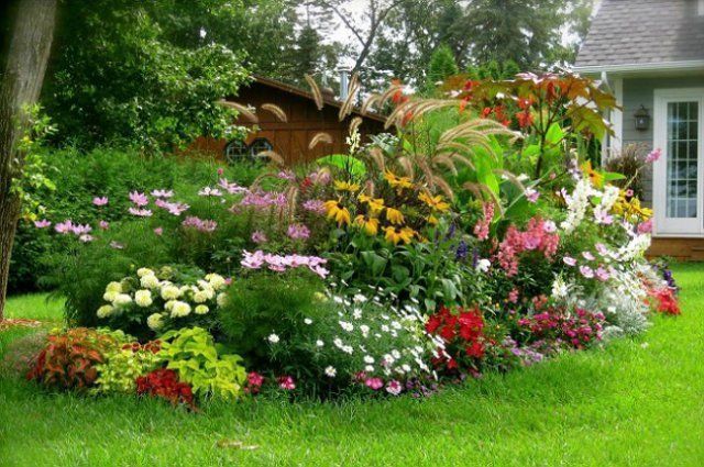 Як своїми руками з багаторічних рослин створити міксбордери: тонкощі ландшафтного дизайну. Такий квітник можна самостійно облаштувати у своєму саду.