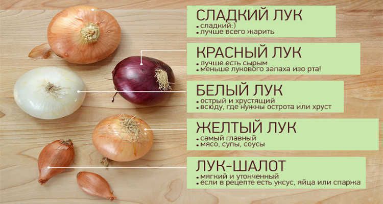 Тонкощі вибору цибулі для приготування різних страв. Для різних страв треба обирати відповідну цибулю.