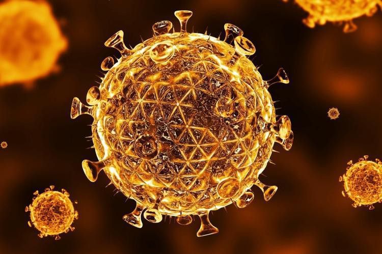 Вченими знайдений новий штам вірусу ВІЛ. Це перше таке відкриття майже за 20 років.
