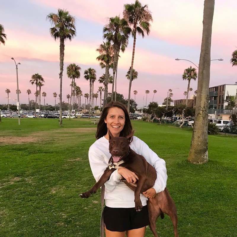Жінка навчила розмовляти свою собаку за допомогою звукової дошки. 26-річна логопед спілкується зі своєю собакою за допомогою спеціальної дошки.