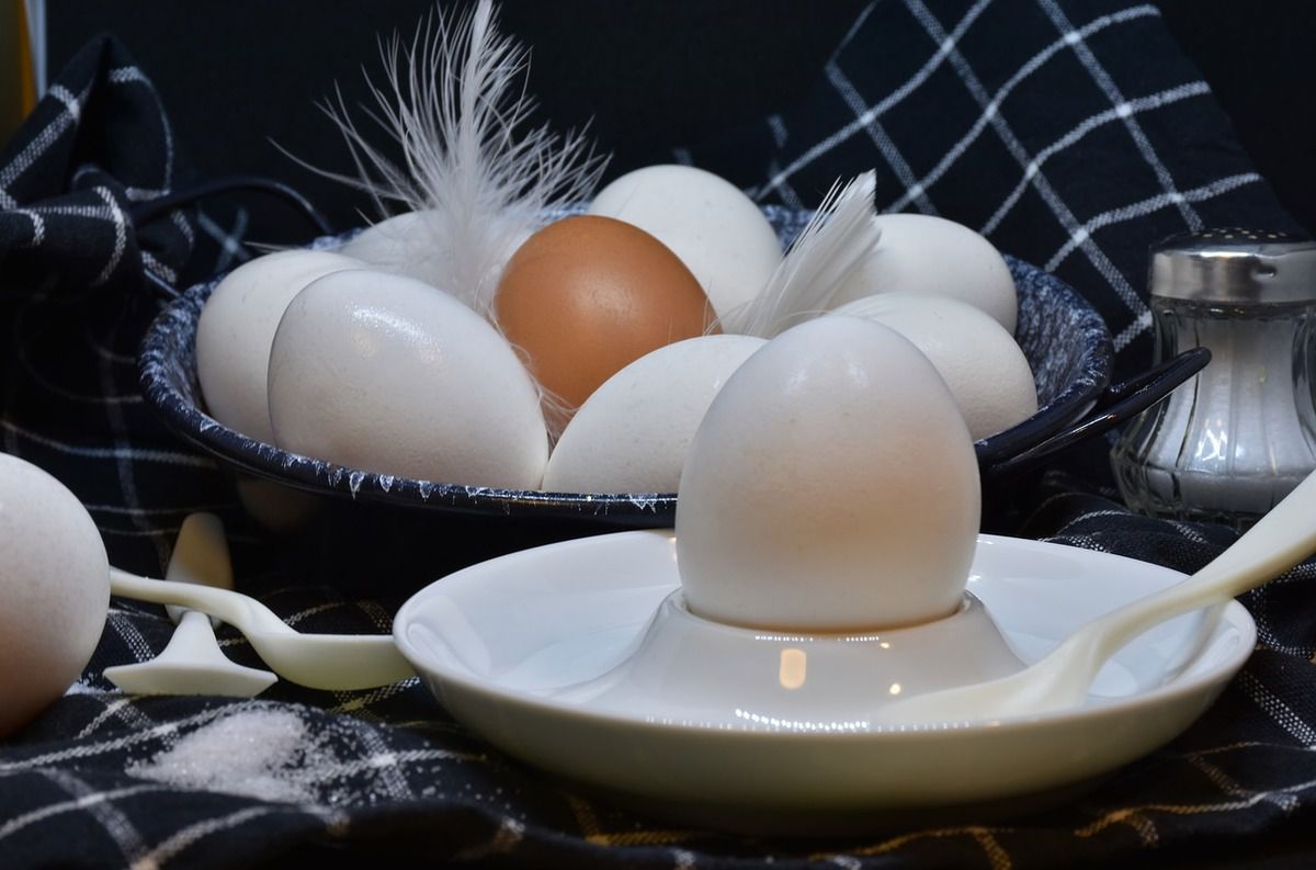 16 міфів про яйця, в які соромно вірити в xxi столітті