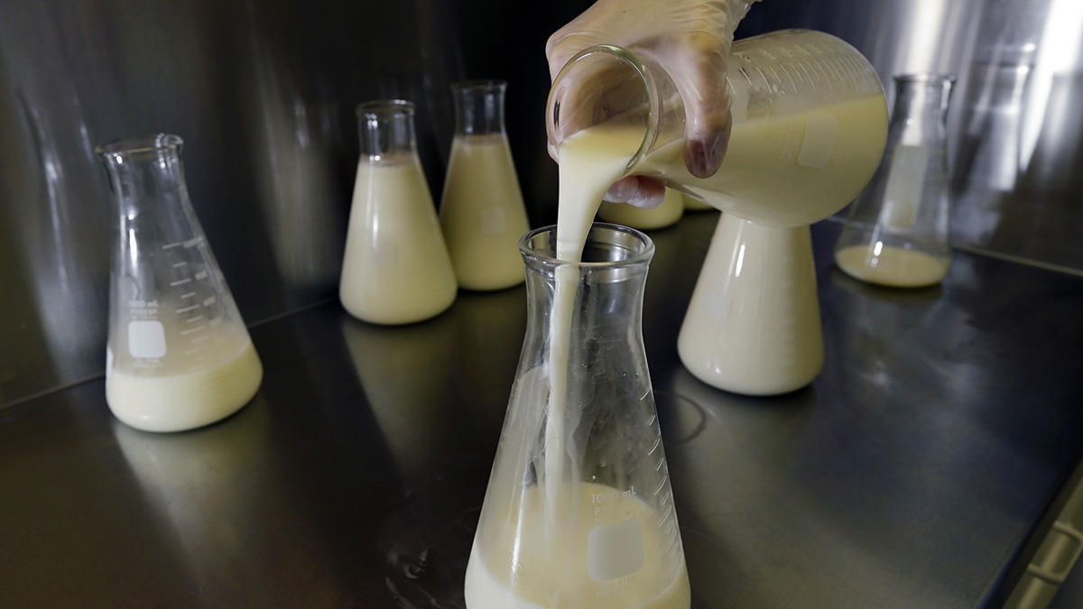 Вченими розроблений унікальний датчик визначення якості молока