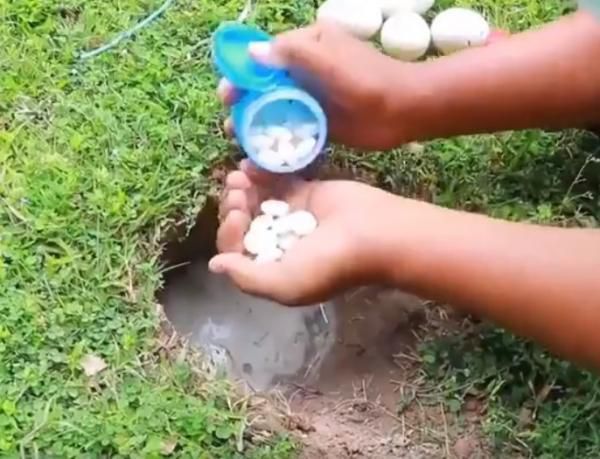 Сире куряче яйце, кола і Mentos — цікавий спосіб ловити рибу, про який ви навіть не здогадувались. Так, лайфхак дивний, але дієвий.