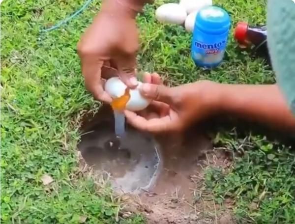 Сире куряче яйце, кола і Mentos — цікавий спосіб ловити рибу, про який ви навіть не здогадувались. Так, лайфхак дивний, але дієвий.