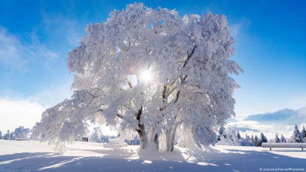 Народні прикмети про зиму на урожай і щастя. Зима — чарівний час, коли прикмети мають особливе значення.