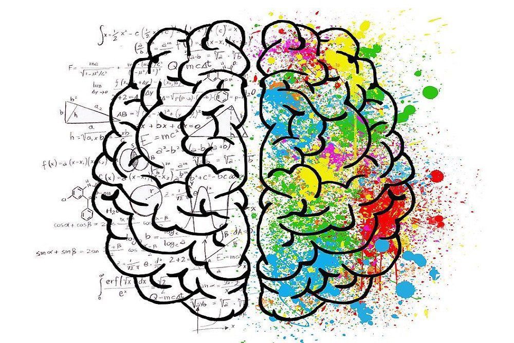 Нейробіологи описали феномен людей із половиною мозку. Завдяки посиленню нейронних зв'язків, що залишилася після гемісферектомії, половина мозку починає працювати за обидві півкулі.