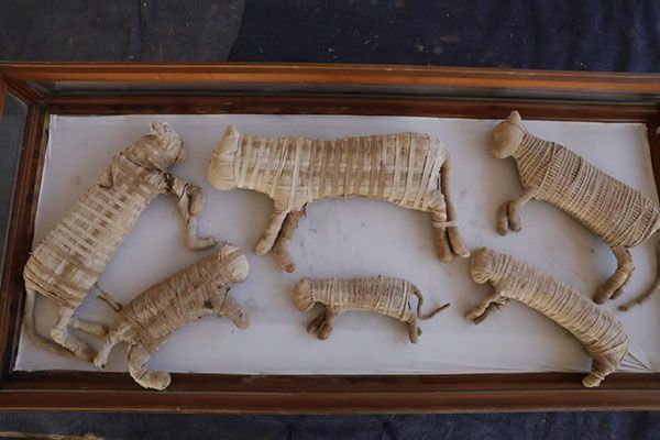 У Єгипті вперше знайшли стародавні мумії левів. Міністр старожитностей Халед Ель-Енан назвав поховання «цілим музеєм».