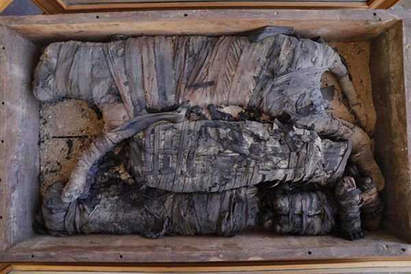 У Єгипті вперше знайшли стародавні мумії левів. Міністр старожитностей Халед Ель-Енан назвав поховання «цілим музеєм».