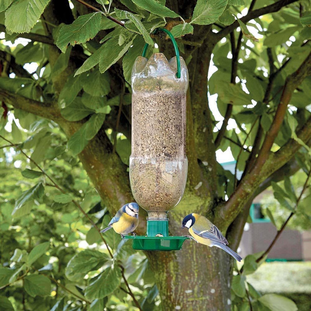 Прості та цікаві ідеї для створення годівниць для птахів. Допоможемо перезимувати птахам.
