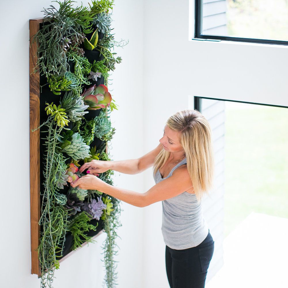 Фітостіна — новий тренд декору приміщень за допомогою рослин. 3 нові способи декорування будинку за допомогою рослин.
