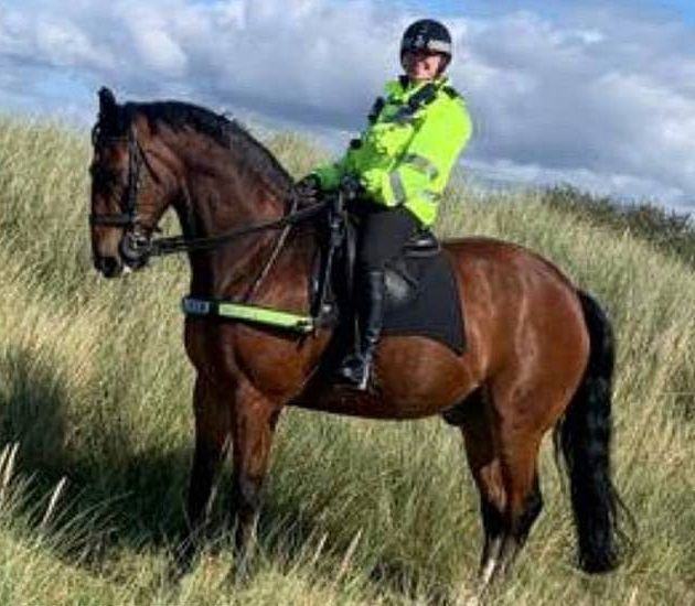 Поліцейський відмовляється йти на роботу без чашки чаю і все було б нічого, якби це не був кінь. Поліцейський кінь зазвичай виходить на роботу після чаювання.