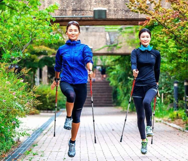 Скандинавська ходьба – модний вид фітнесу: у два рази ефективніша від бігу, працює 90% м'язів. Це легка активність для тих, кому вже важко бігати, плавати й крутити педалі.