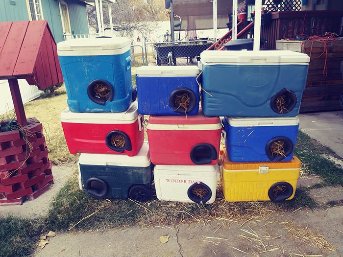 Американець робить будинки для бездомних кішок з викинутих міні-холодильників. Беріть приклад!