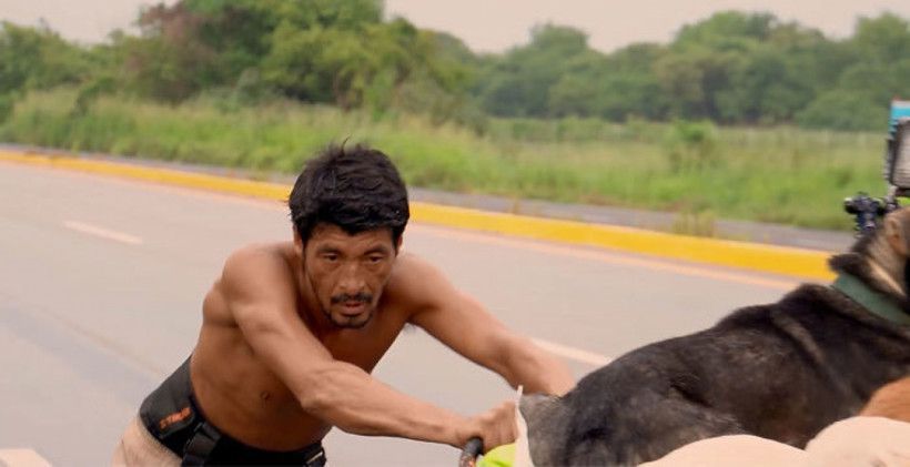 Житель Мексики подорожує по країні і рятує хворих і поранених собак. Завдяки такій душевній людині, собаки не втрачають довіру до людей.