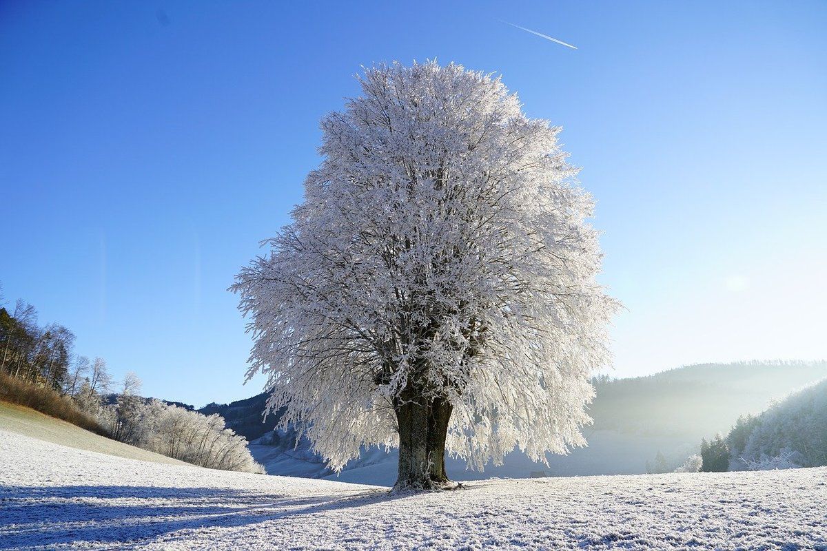 Прогноз погоди в Україні на 5 і 6 грудня 2019: місцями сніг, на дорогах ожеледиця. У найближчу добу погоду в Україні визначатиме холодна повітряна маса.