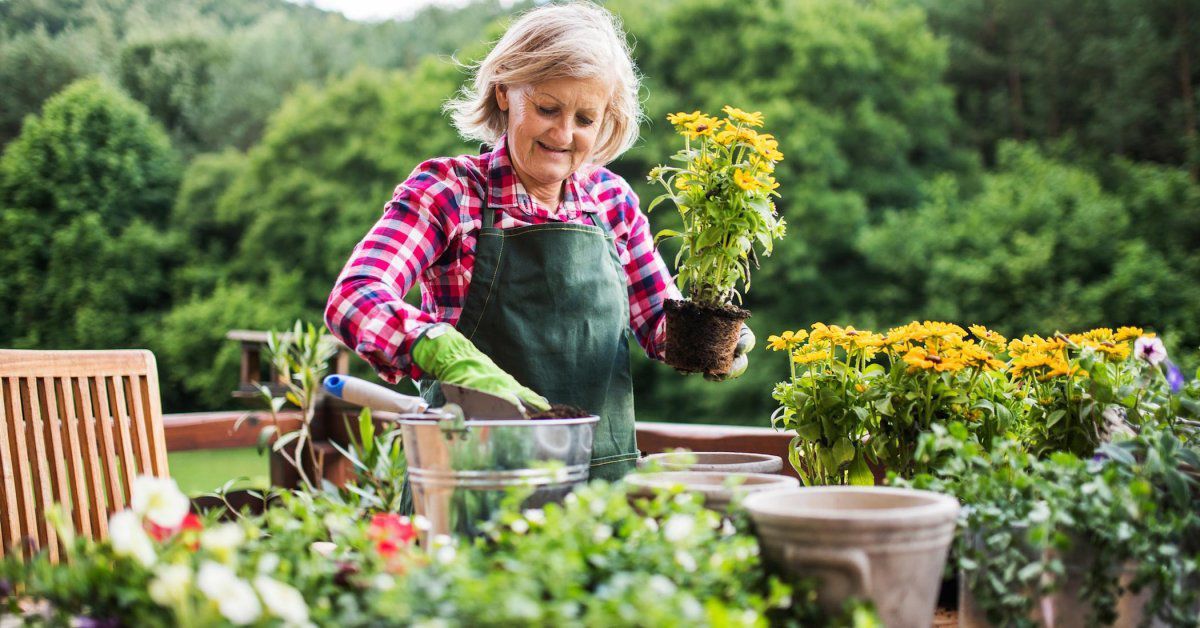 Медики визнали садівництво корисним заняттям. Особливо цей вид навантаження фахівці рекомендують тим, кому за 50.