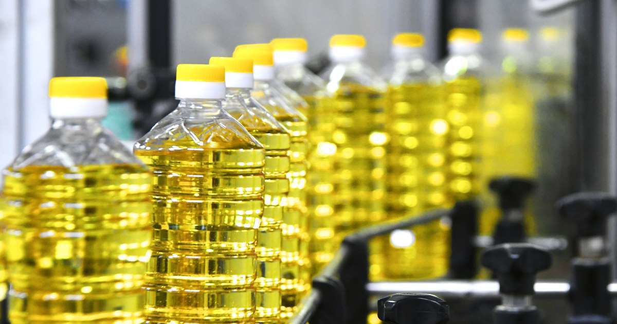 Отрута в сковороді: вчені пояснили, чому рафінована олія небезпечна для здоров'я