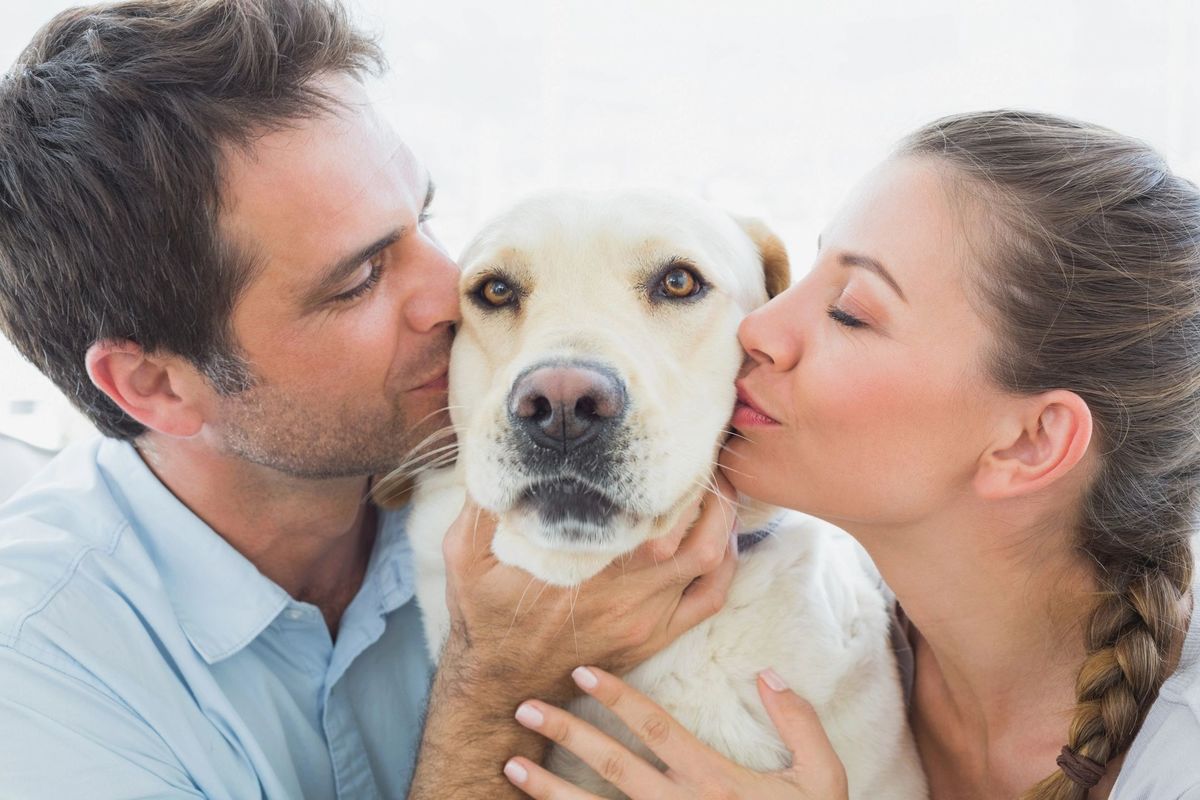 Чому лікарі забороняють людям цілувати домашніх тварин. Такі ніжності можуть призвести до ризику порушення правил особистої гігієни.