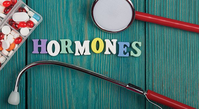 Цікаві факти про гормони, про які ви не здогадувалися. Як гормони впливають на різні сфери нашого життя.