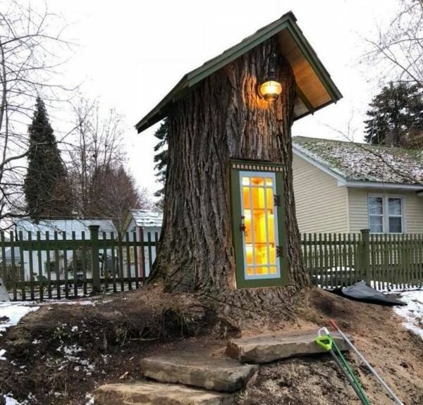 «Будинок з однієї колоди» — житло в стовбурі дерева, якому майже 1900 років. Будинок американця в стовбурі величезного червоного дерева.
