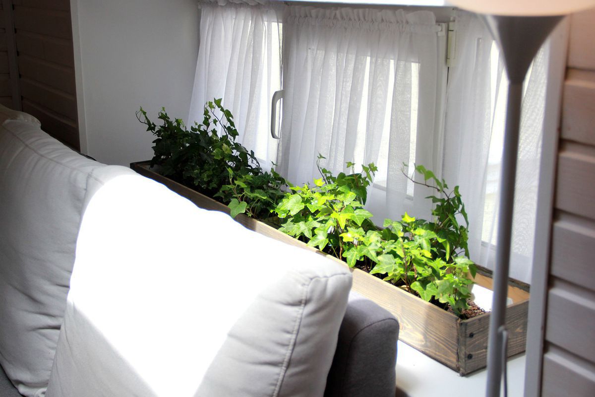 Чи справді кімнатні рослини в спальні можуть завдати шкоди здоров'ю. Які квіти бажано тримати в спальній кімнаті.