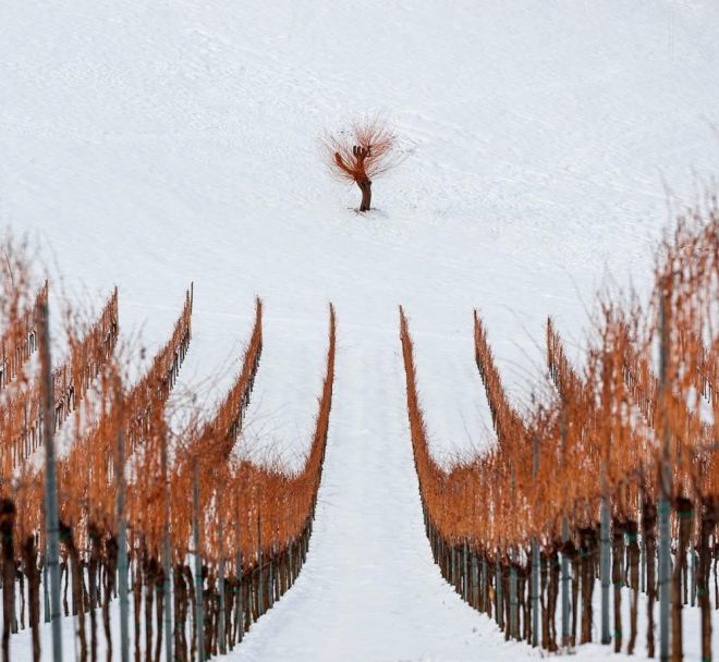25 ідеальних фото зими, які сподобаються усім перфекціоністам. Справжня насолода для очей.
