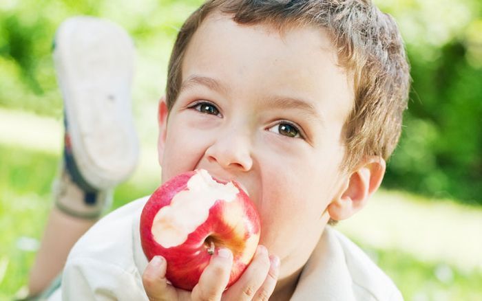 Яким чином два яблука, що споживаються щоденно, можуть знижувати рівень холестерину у крові. Нові дослідження показали, що щоденне вживання двох яблук допомагає знизити рівень холестерину у крові.