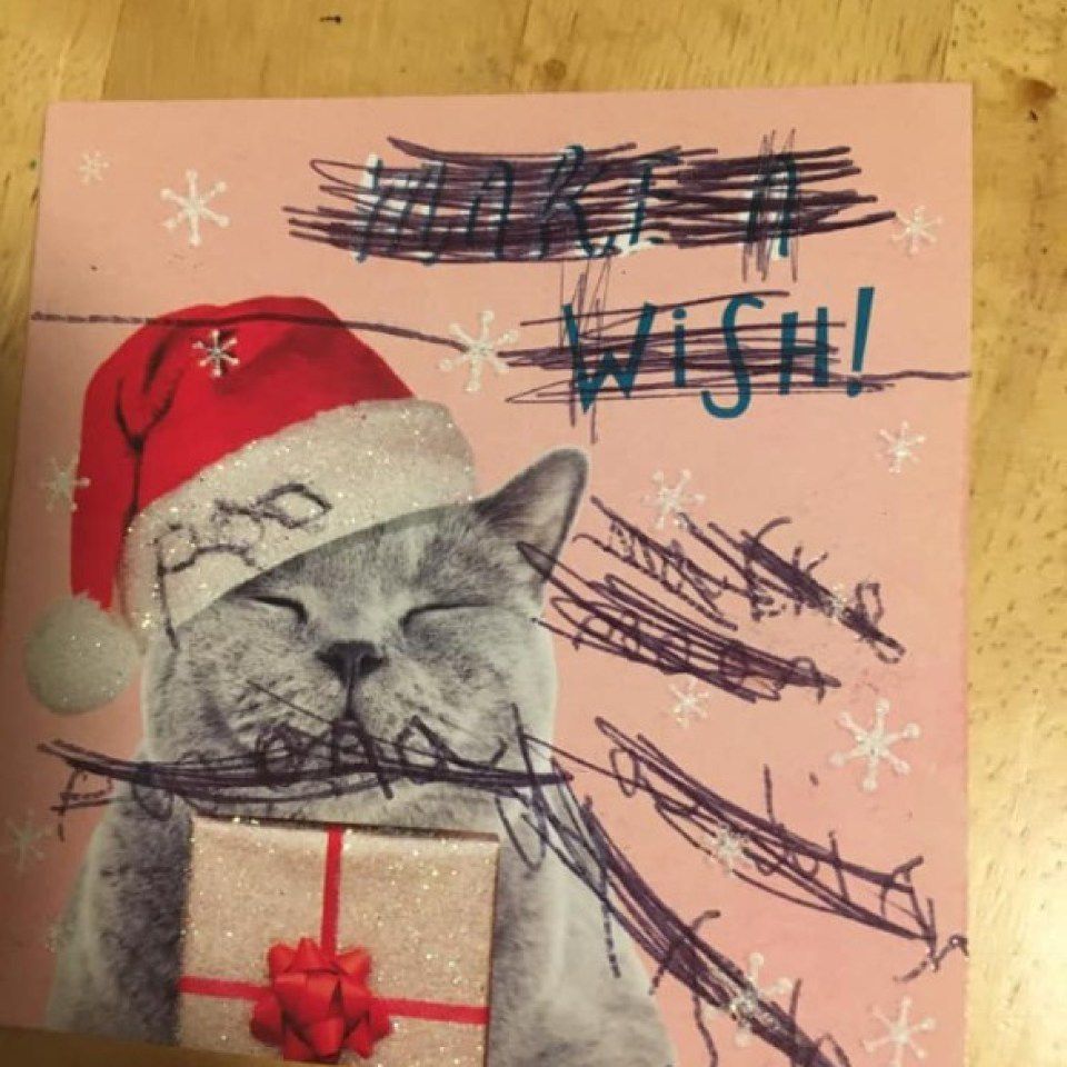 Мати прийшла в жах, коли побачила коригування, які її маленький син вніс у відправлені різдвяні листівки. Це точно оригінальні за змістом, побажання на Різдво.