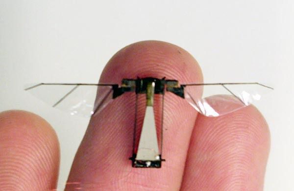 Інженери зробили робота-муху і спробували прибити її мухобійкою. Швейцарські й французькі учені випробували свій новий винахід — роботизовану муху.