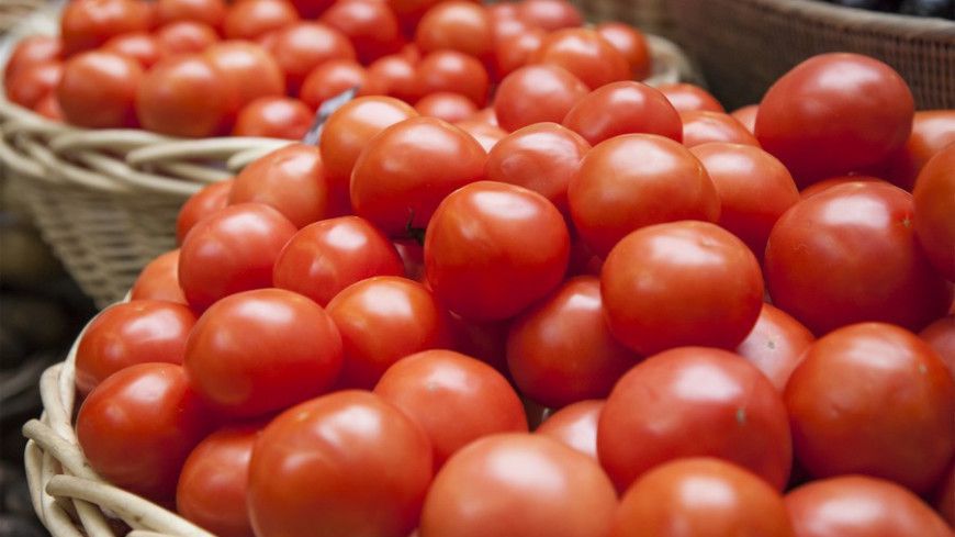 У США вивели сорт томатів, які ростуть у вигляді букетів. Тепер букет стане не тільки красивим, але й їстівним.
